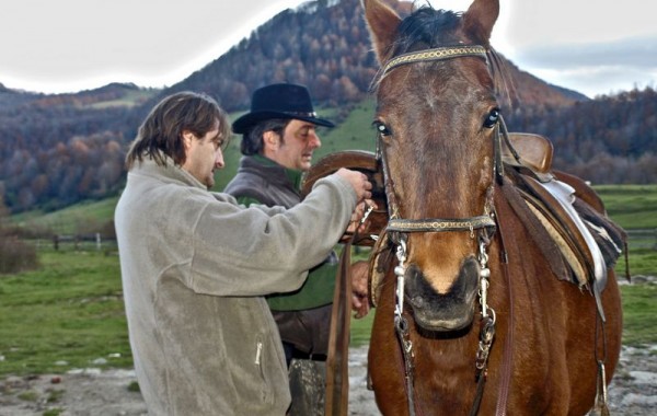 Equitació 7