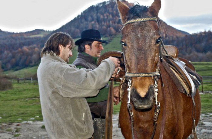 Equitació 7