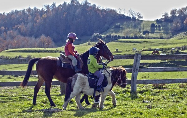 Equitació 10